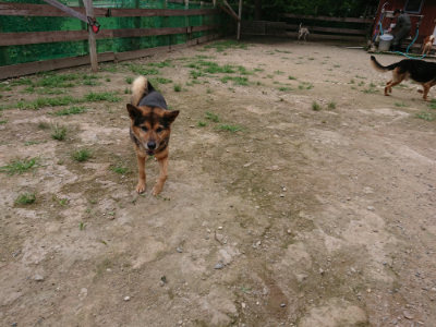 f:id:roukenhome-ann:20190705213207j:plain