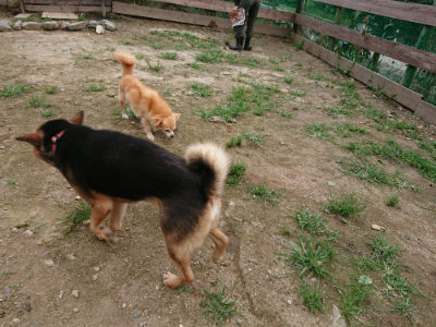 f:id:roukenhome-ann:20190705213218j:plain