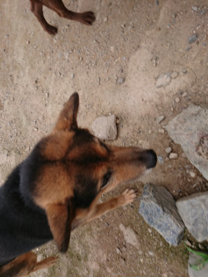 f:id:roukenhome-ann:20190705213242j:plain