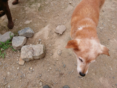 f:id:roukenhome-ann:20190705213413j:plain