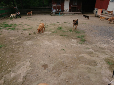 f:id:roukenhome-ann:20190705213419j:plain