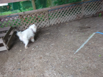 f:id:roukenhome-ann:20190705213436j:plain