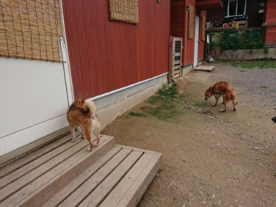 f:id:roukenhome-ann:20190705213444j:plain