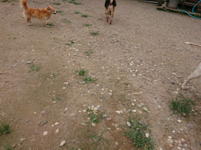 f:id:roukenhome-ann:20190705213450j:plain