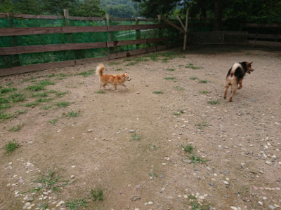 f:id:roukenhome-ann:20190705213459j:plain