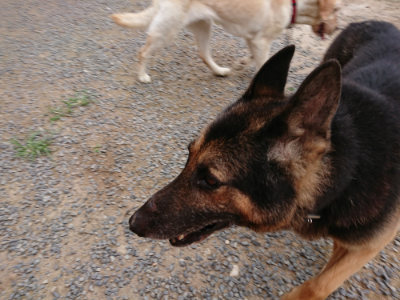 f:id:roukenhome-ann:20190705213506j:plain