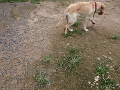 f:id:roukenhome-ann:20190705213537j:plain