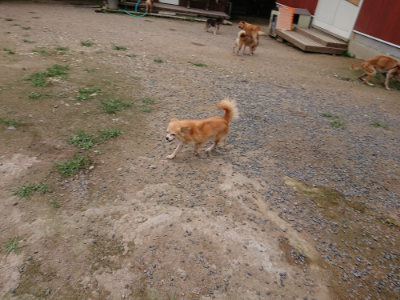 f:id:roukenhome-ann:20190705213554j:plain