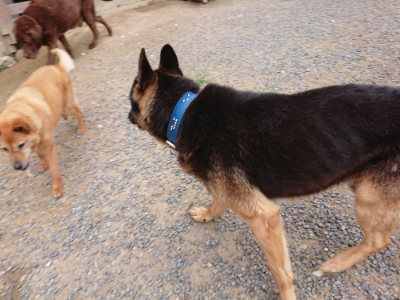 f:id:roukenhome-ann:20190705213557j:plain