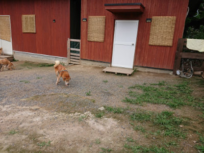 f:id:roukenhome-ann:20190705213630j:plain