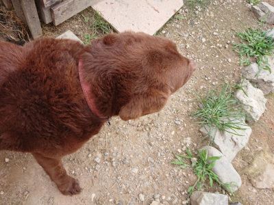f:id:roukenhome-ann:20190705213641j:plain