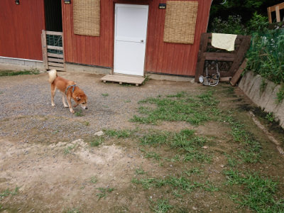 f:id:roukenhome-ann:20190705213643j:plain
