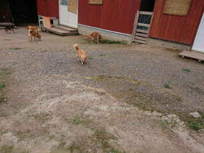 f:id:roukenhome-ann:20190705213647j:plain