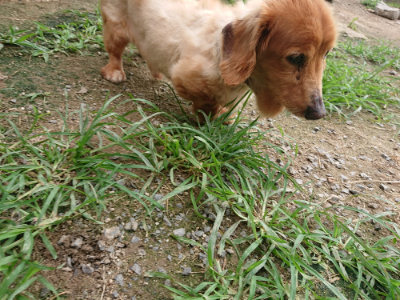 f:id:roukenhome-ann:20190707083339j:plain