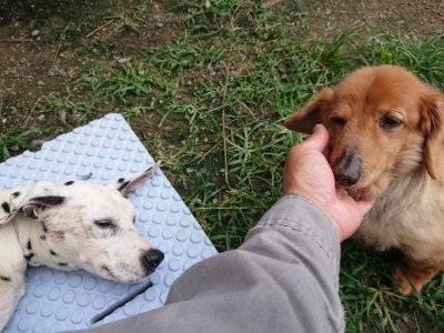 f:id:roukenhome-ann:20190707083453j:plain