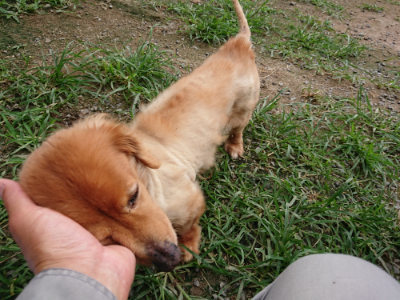 f:id:roukenhome-ann:20190707083512j:plain