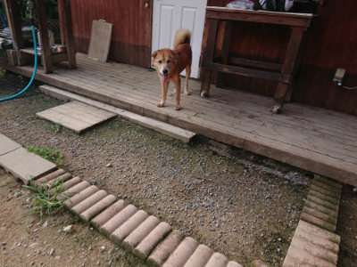 f:id:roukenhome-ann:20190707083649j:plain