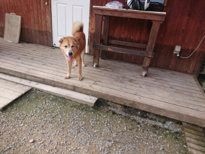 f:id:roukenhome-ann:20190707083710j:plain