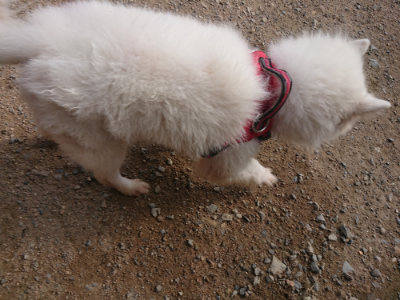 f:id:roukenhome-ann:20190707083744j:plain