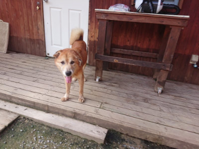 f:id:roukenhome-ann:20190707083803j:plain