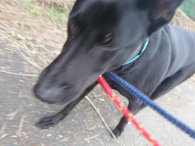 f:id:roukenhome-ann:20190707121552j:plain