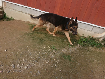 f:id:roukenhome-ann:20190707121558j:plain