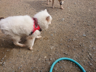 f:id:roukenhome-ann:20190707121724j:plain