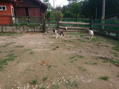 f:id:roukenhome-ann:20190707121758j:plain