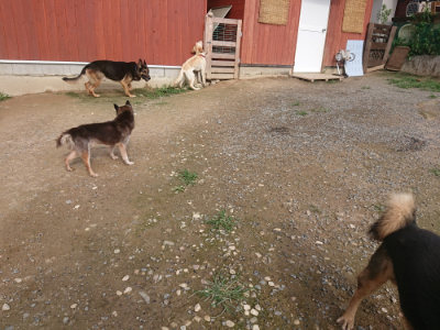 f:id:roukenhome-ann:20190707121815j:plain