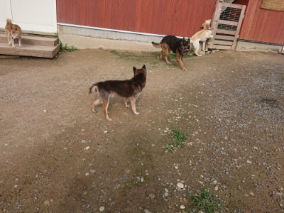 f:id:roukenhome-ann:20190707121820j:plain