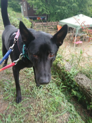 f:id:roukenhome-ann:20190707121827j:plain