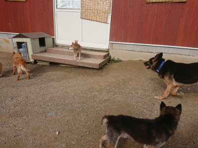f:id:roukenhome-ann:20190707121915j:plain