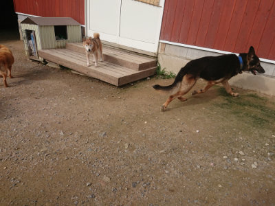 f:id:roukenhome-ann:20190707121922j:plain