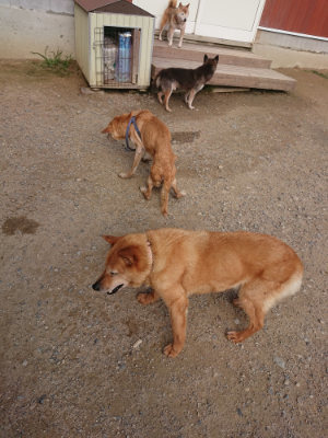 f:id:roukenhome-ann:20190707122202j:plain