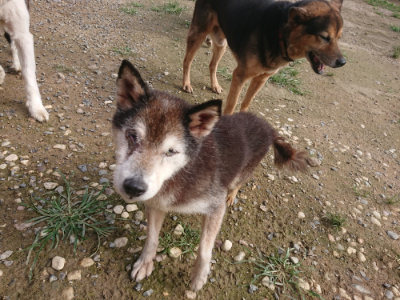 f:id:roukenhome-ann:20190707122216j:plain