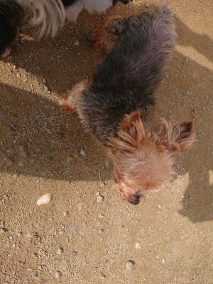 f:id:roukenhome-ann:20190707122220j:plain