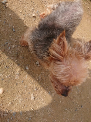 f:id:roukenhome-ann:20190707122226j:plain