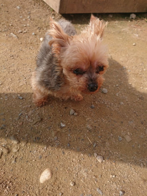 f:id:roukenhome-ann:20190707122253j:plain