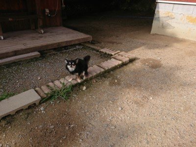 f:id:roukenhome-ann:20190707122302j:plain