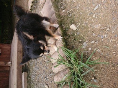 f:id:roukenhome-ann:20190707122310j:plain