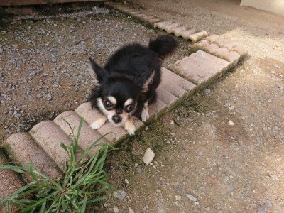 f:id:roukenhome-ann:20190707122319j:plain