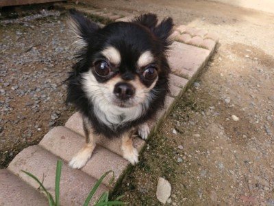 f:id:roukenhome-ann:20190707122323j:plain