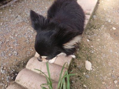 f:id:roukenhome-ann:20190707122327j:plain