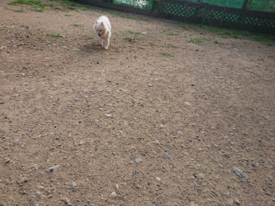 f:id:roukenhome-ann:20190707122340j:plain