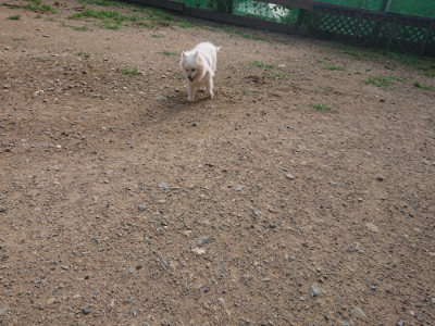 f:id:roukenhome-ann:20190707122346j:plain