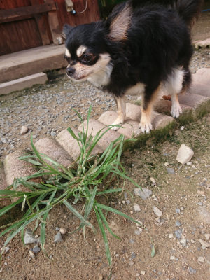 f:id:roukenhome-ann:20190707122351j:plain