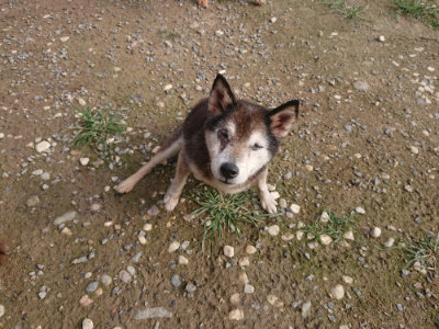 f:id:roukenhome-ann:20190707122415j:plain