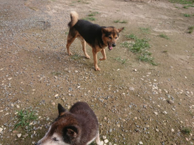 f:id:roukenhome-ann:20190707122421j:plain