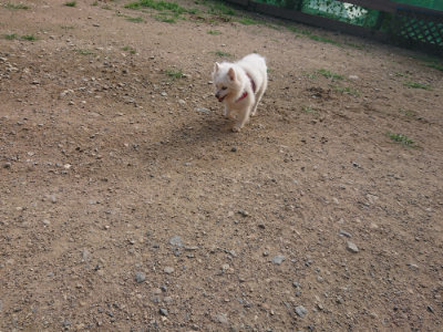f:id:roukenhome-ann:20190707122426j:plain