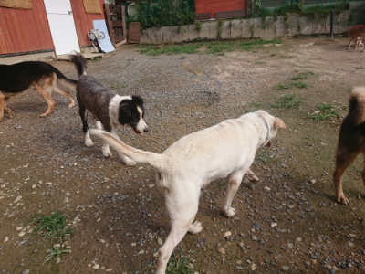 f:id:roukenhome-ann:20190707122439j:plain